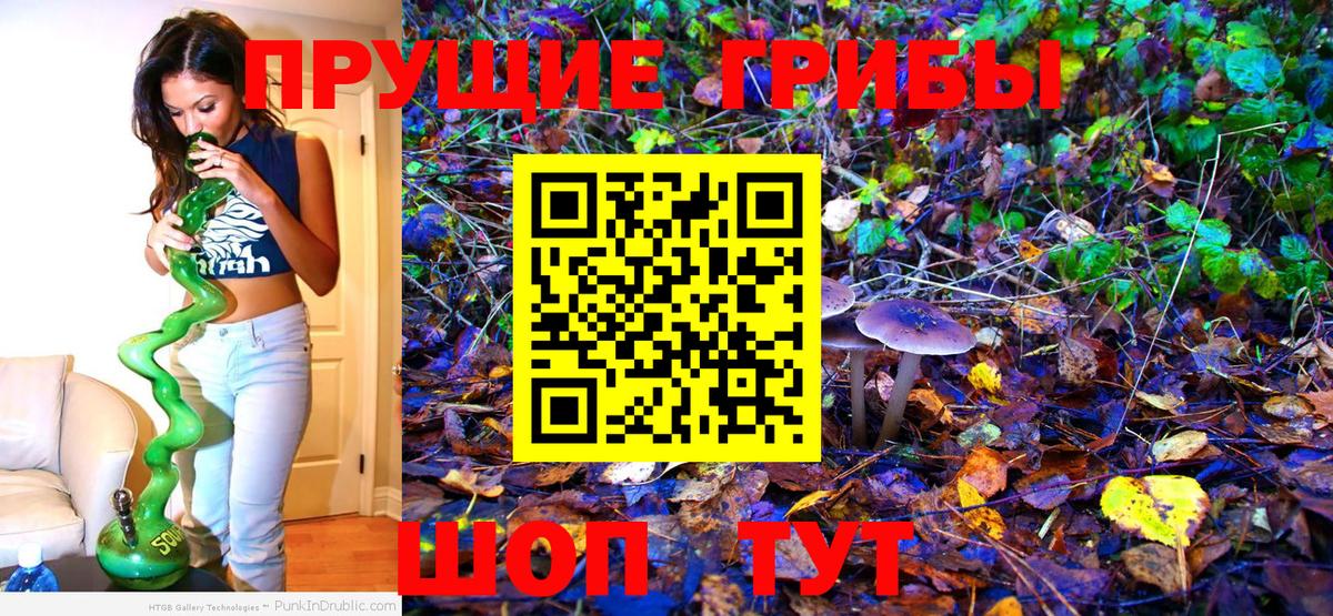Берёзовский  Псилоцибиновые грибы ЛСД  Вход с VPN  Псилоцибиновые грибы мицелий 